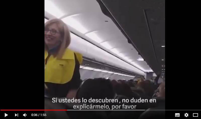 Piloto macanudo
