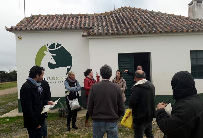 payproyecto