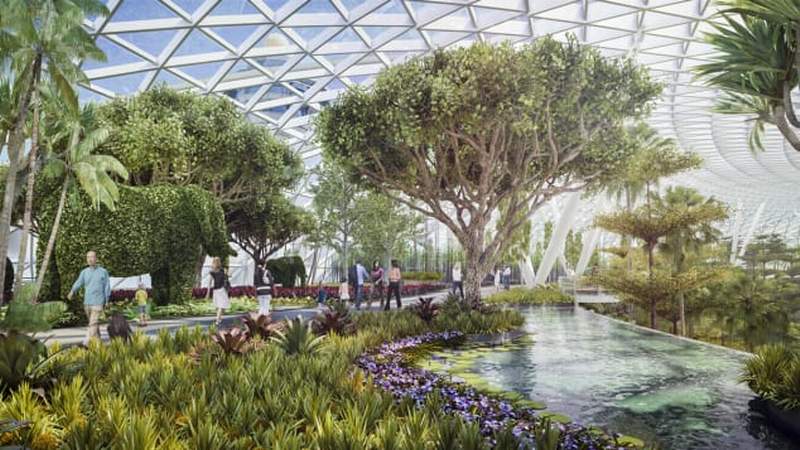 http cdn.cnn.com cnnnext dam assets 141209142741 jewel changi canopy park