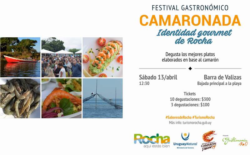 Rocha camaronada
