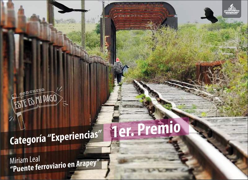 concurso foto 1