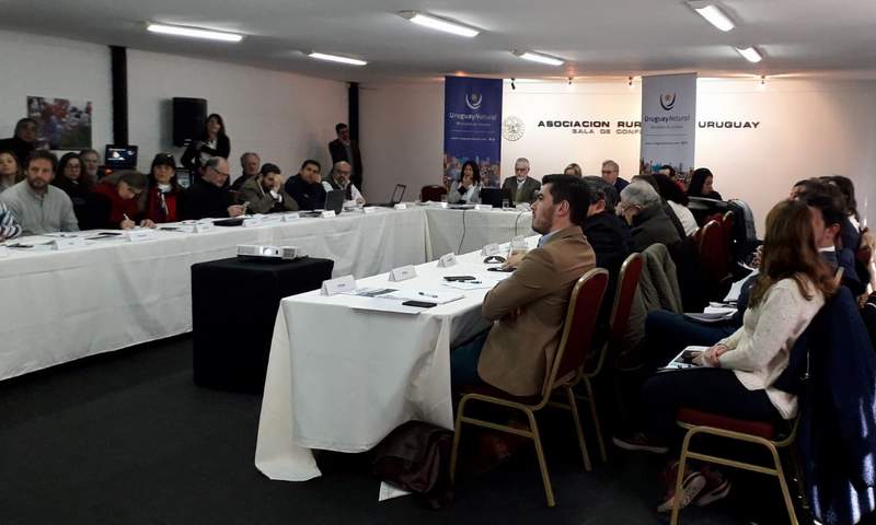 directores