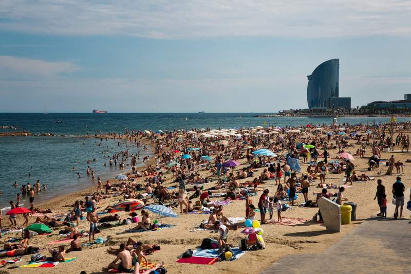 bcn 7