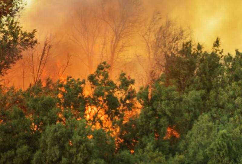 wildfire amazon.v1 1200x480