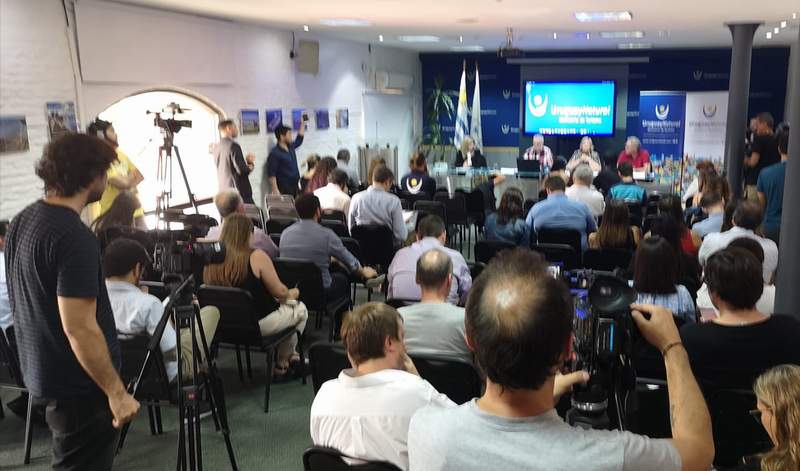 informe Mintur