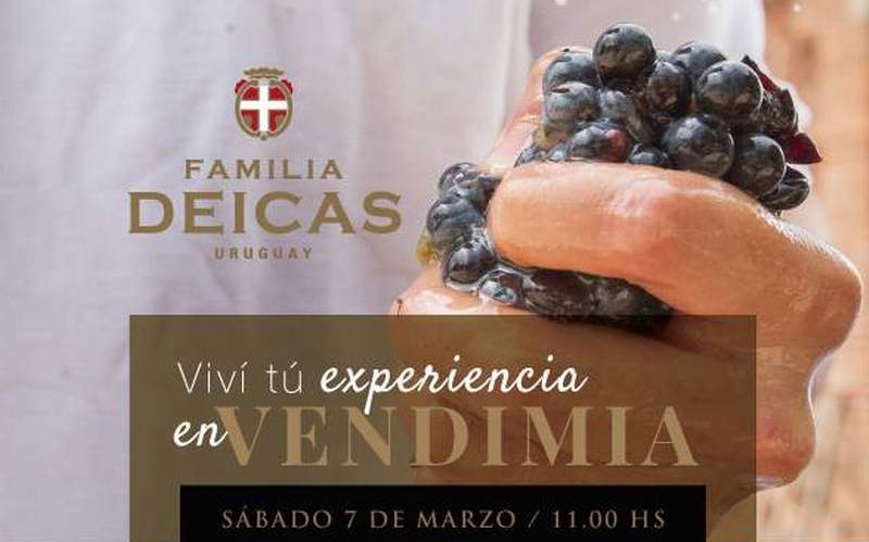 Juanico Festival de la Vendimia 2020 1