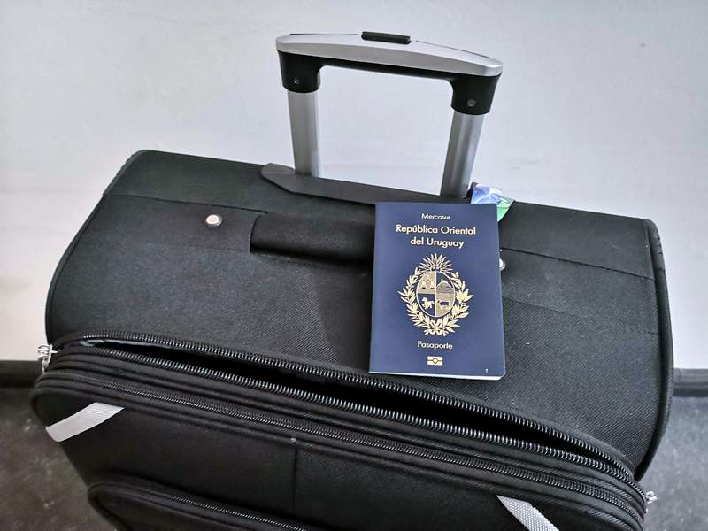 pasaporte y valija