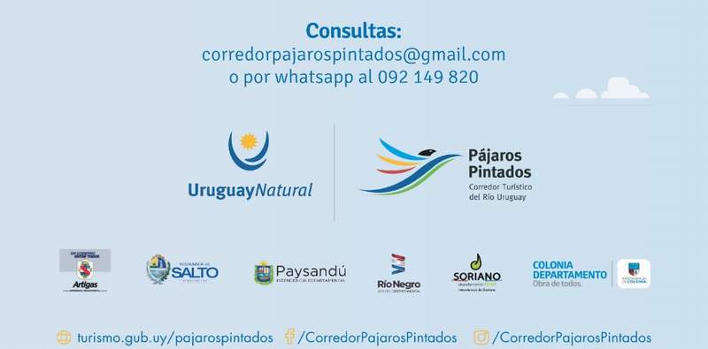 zoom Corredor