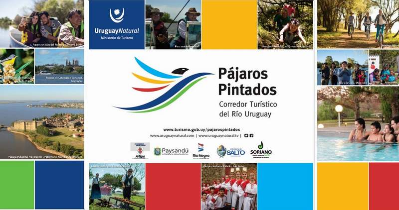 corredor pajaros 01