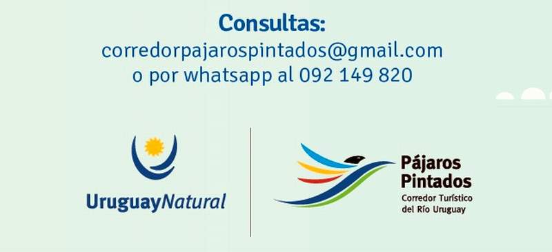 WEBINAR CORREDOR 02