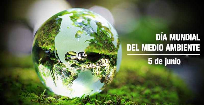 dia del medio ambiente sin