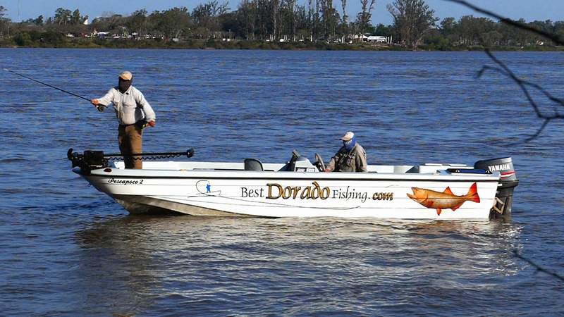 BESTDORADO 8