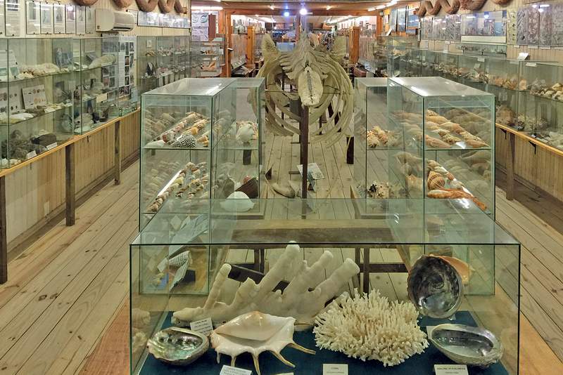 MUSEO DEL MAR 10
