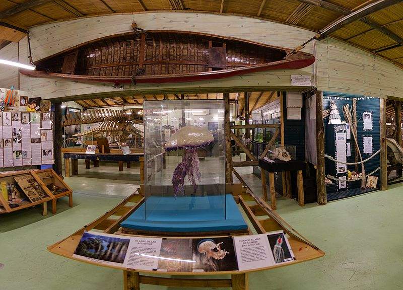MUSEO DEL MAR 2