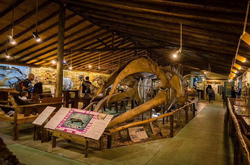 MUSEO DEL MAR 3