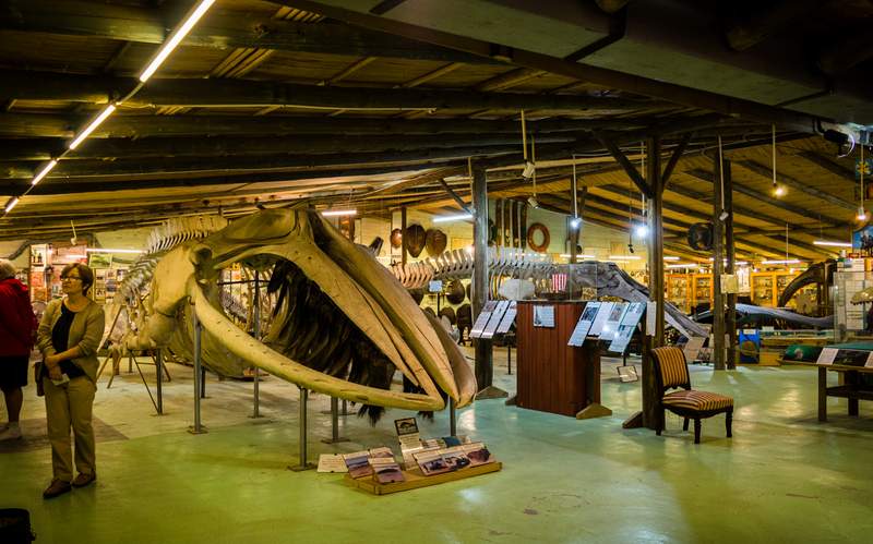 MUSEO DEL MAR 5