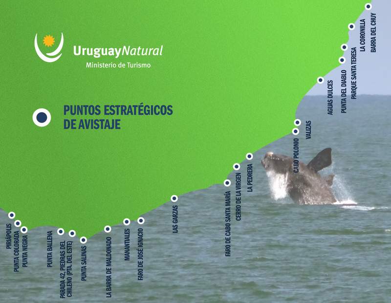 BALLENAS MAPA