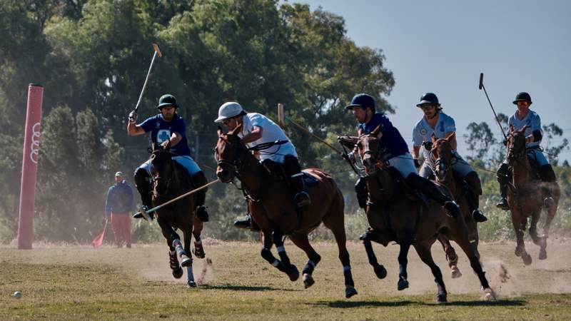 cottage polo 2