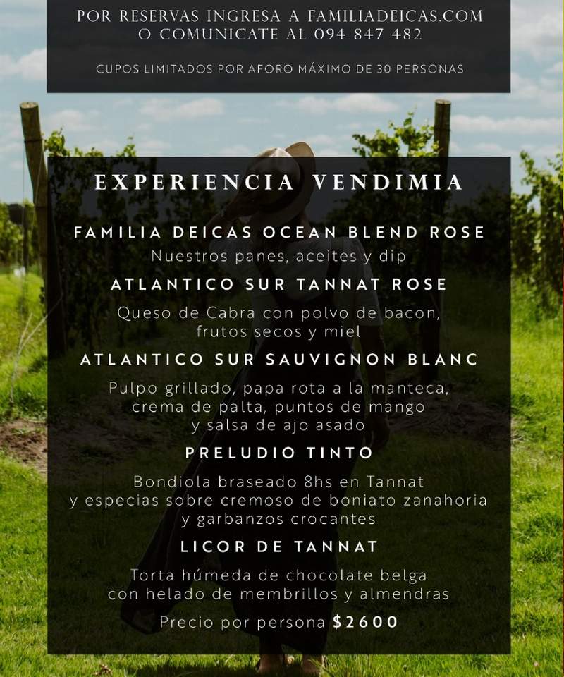 JUANICO VENDIMIIA 2021