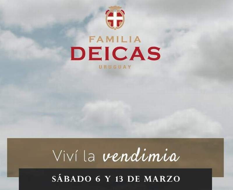 JUANICO VENDIMIIA 2021 copia