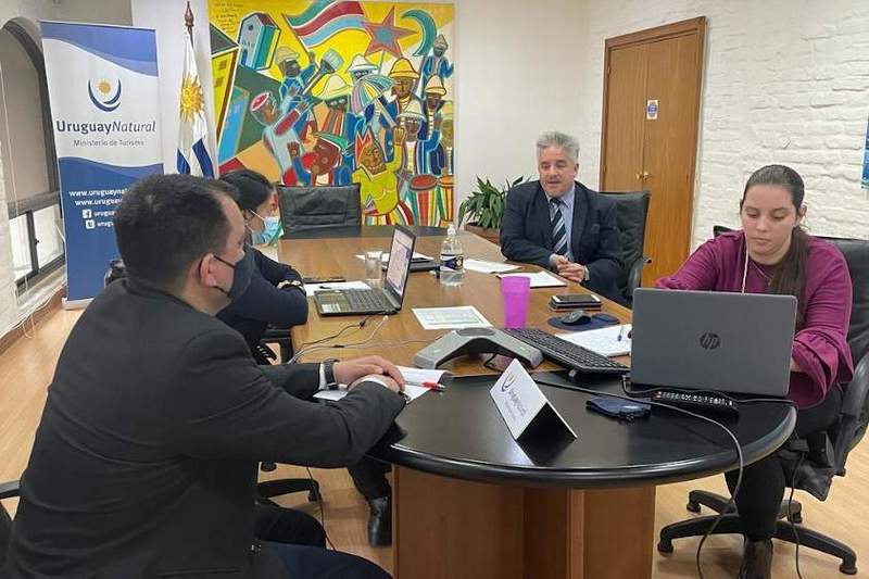 mintur academia
