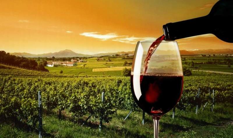 enoturismo