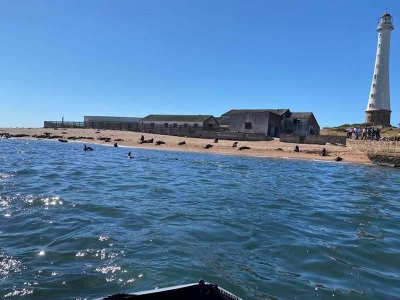 Isla de Lobos