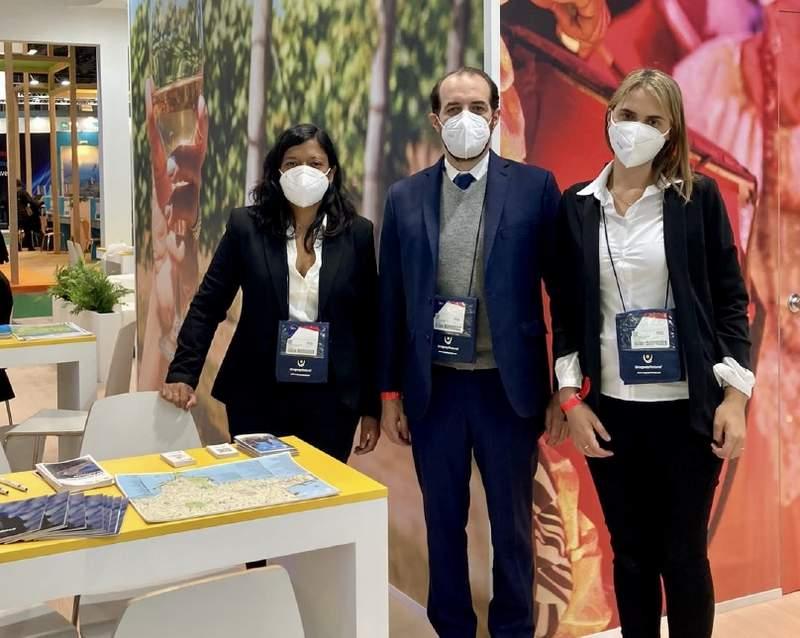 mvd fitur