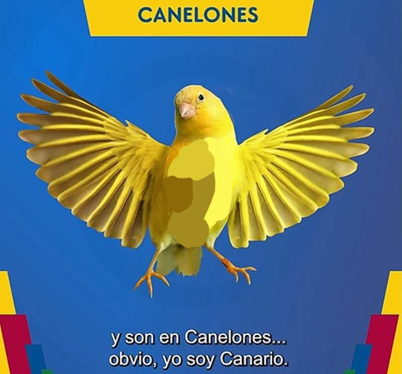 CANARIO