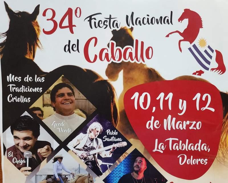 caballo 01 n