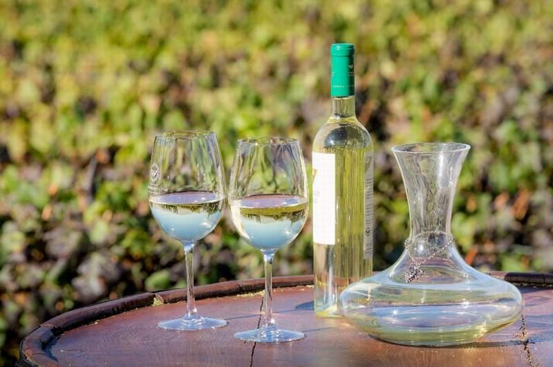 salta vino 01