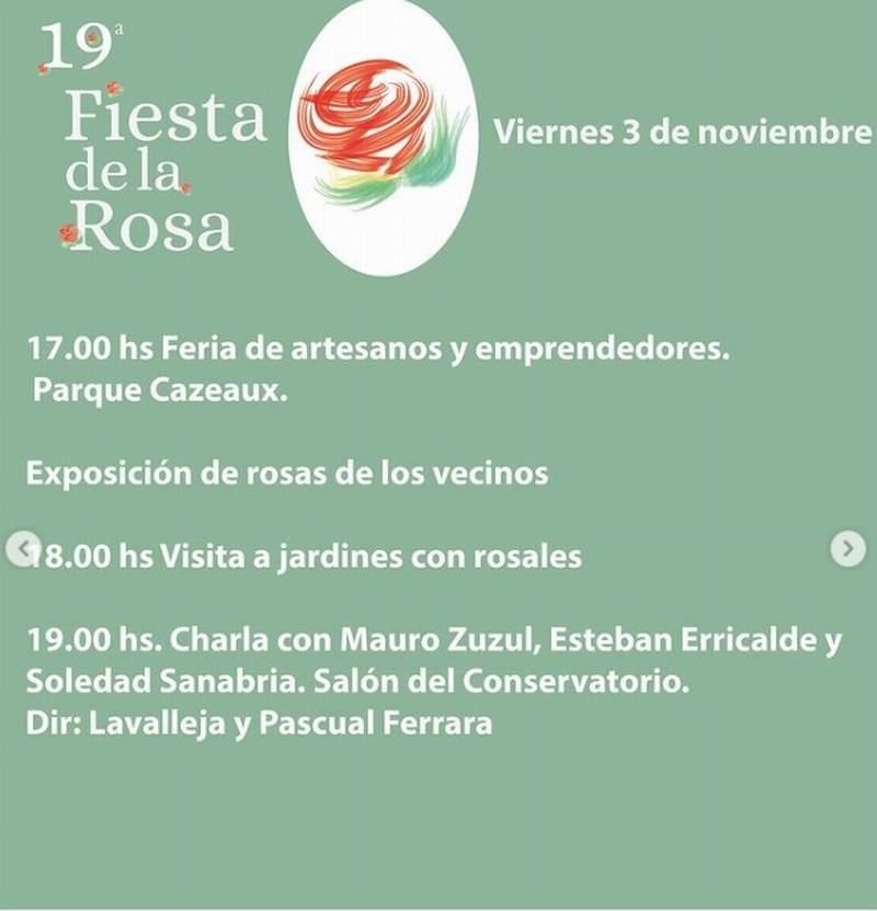 rosa 02