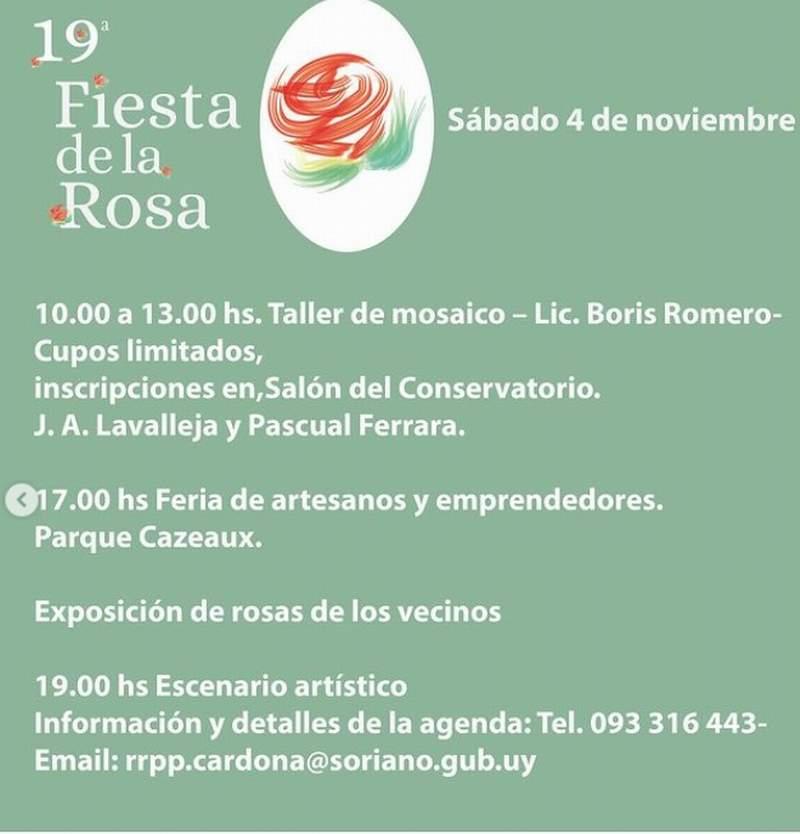 rosa 03
