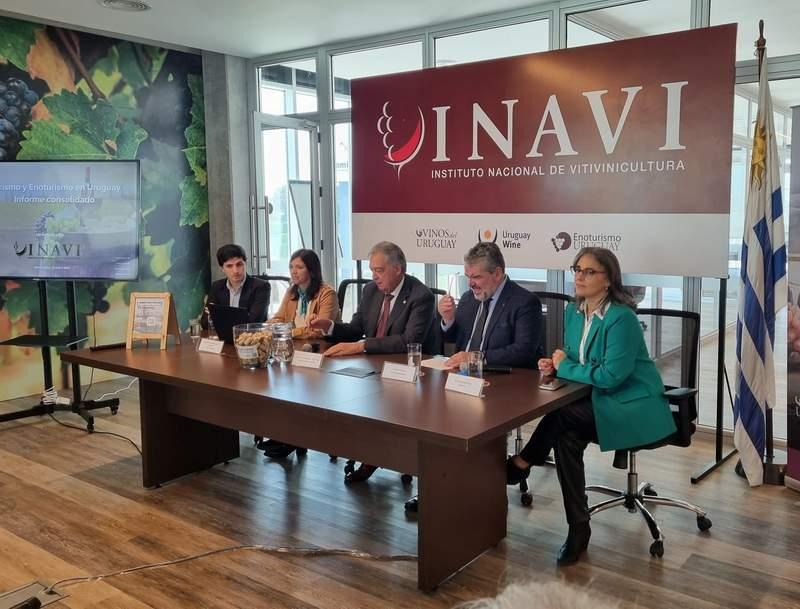 inavi informe