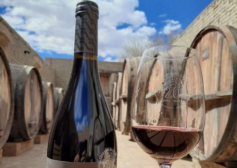 salta vinos