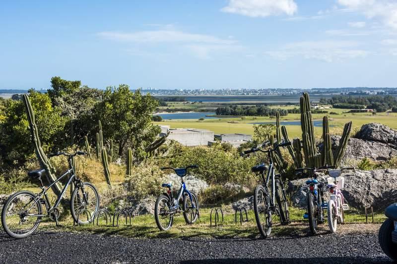 Paseo en bicicleta Punta del ESte