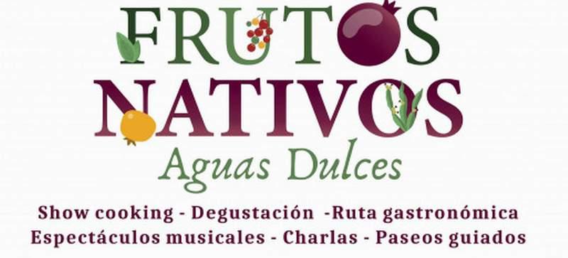 rocha eventos 4