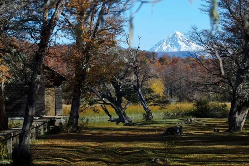 neuquen home
