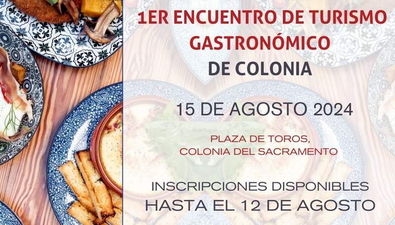 Colonia gastronomia head