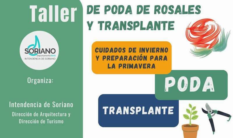 Taller de poda de rosales copia