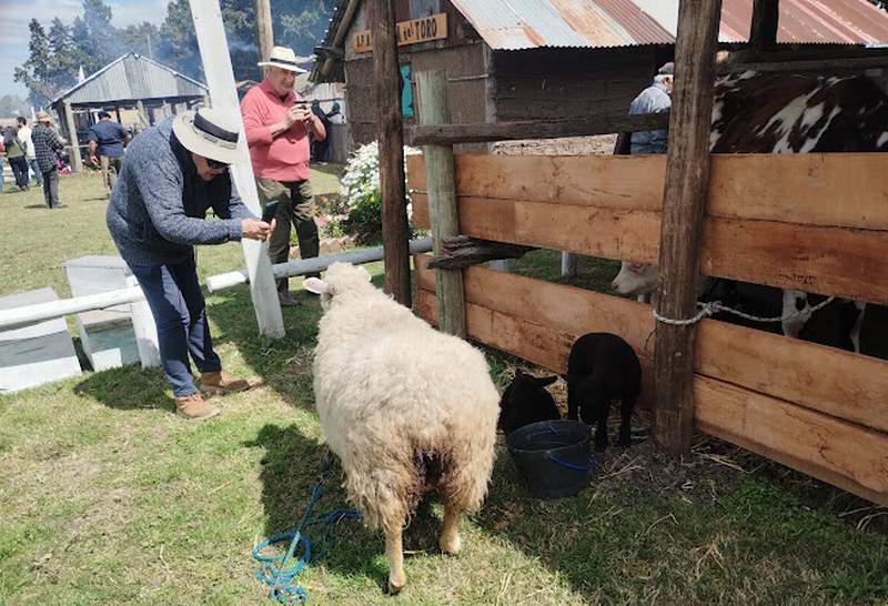 chacra