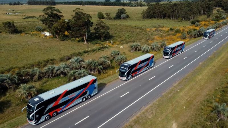 flota buses 800