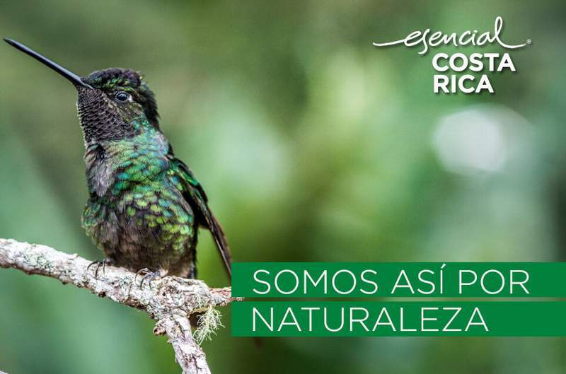 costa rica 3