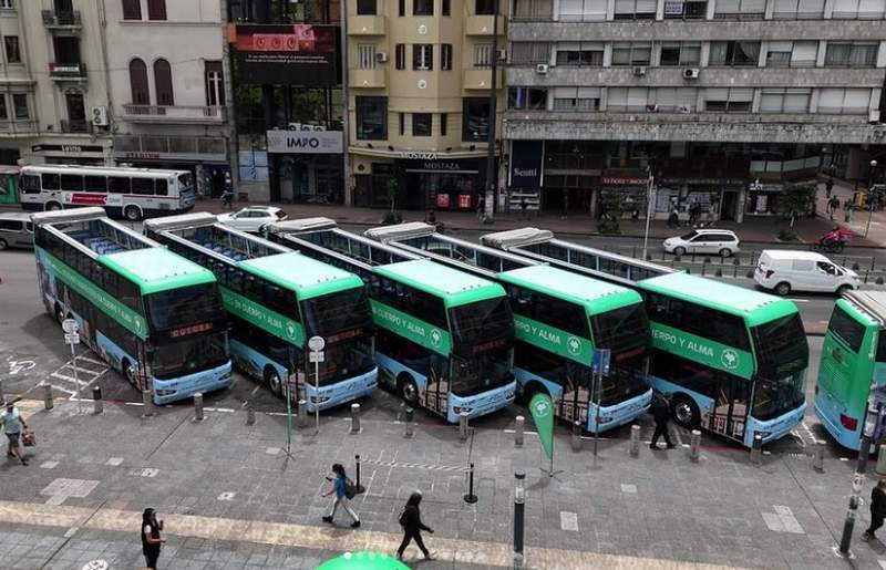bus 01