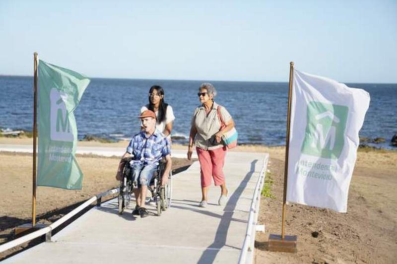 mvd accesible 2