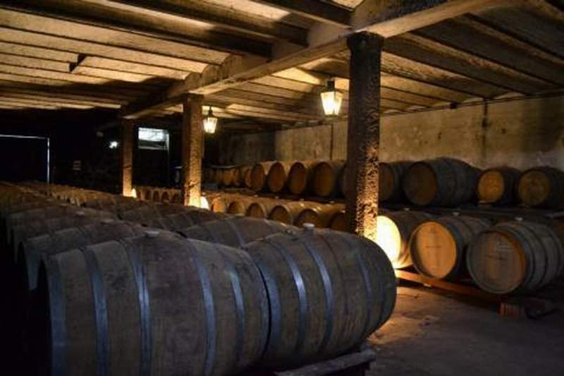bodega imm