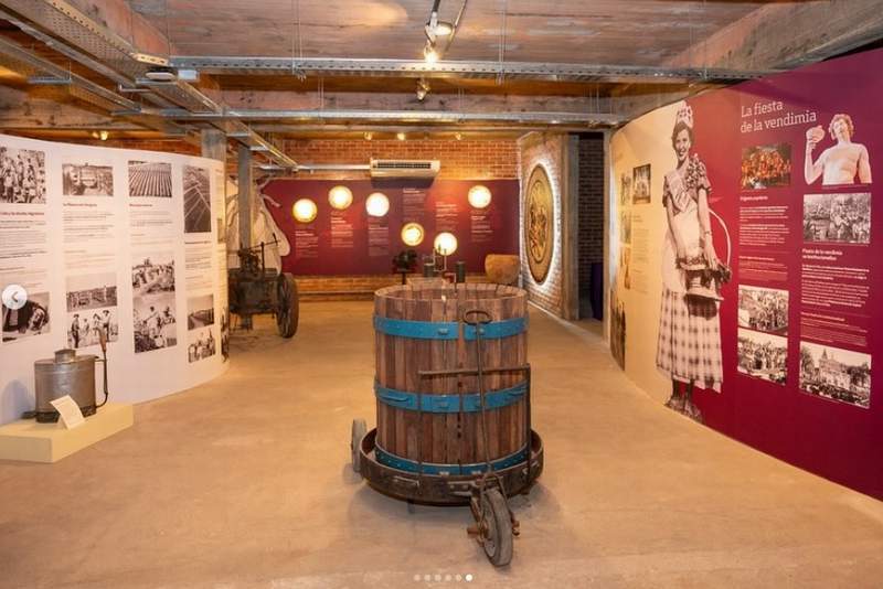 museo vino