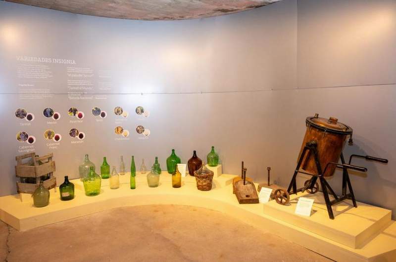 museo vino 3