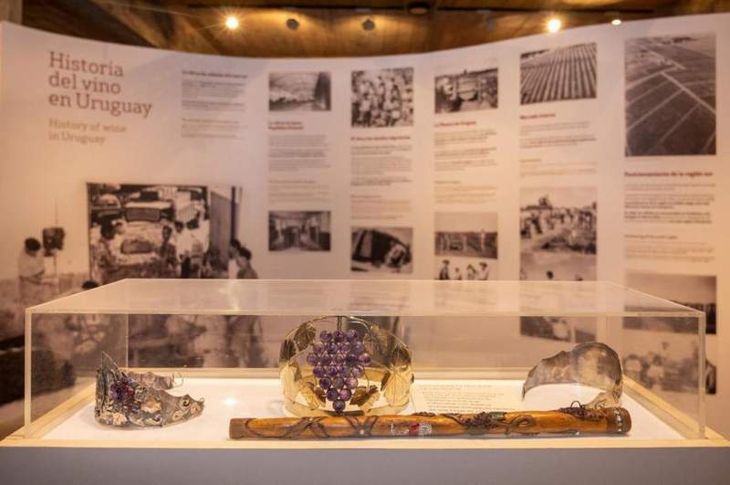 museo vino 4