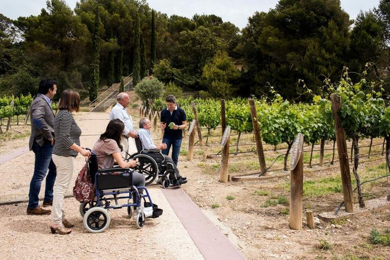 accesible movilidad reducida